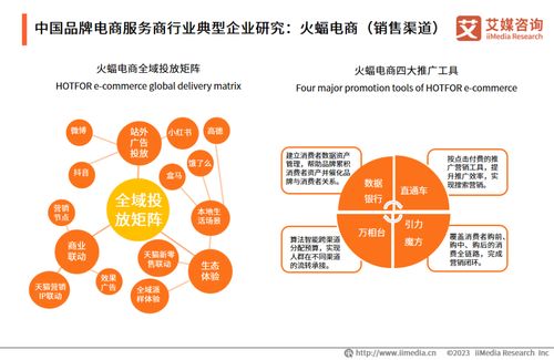 2023年中國品牌電商服務(wù)商行業(yè)研究報(bào)告 信息技術(shù)咨詢服務(wù)分析